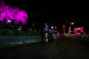 BIB: 
                            <button type="button" onclick="openModal(26552607)" class="btn btn-primary btn-sm float-right btn-popup" data-toggle="modal" data-target=".modal-high-quality">
                        <i class="fas fa-shopping-cart"></i> Add to Cart
                    </button>
                                            <button type="button" onclick="isThisMe(26552607, true)" class="btn btn-success btn-sm float-right btn-popup btn-isme hidden" data-toggle="tooltip" data-placement="bottom" title="นี่คือรูปของคุณใช่ไหม คลิกที่นี่เพื่อเอาเข้าอัลบั้ม">
                        <i class="fas fa-plus"></i> Add to album
                    </button>
                    <button type="button" onclick="isThisMe(26552607, false)" class="btn btn-warning btn-sm float-right btn-popup btn-isnotme hidden">
                        <i class="fas fa-ban"></i> Remove from album
                    </button>